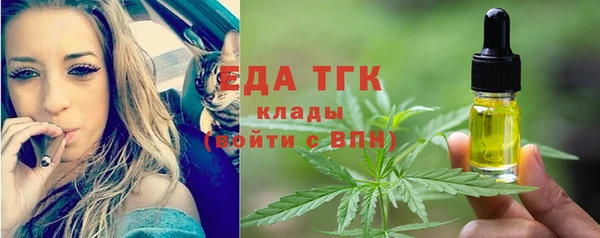 индика Богородицк
