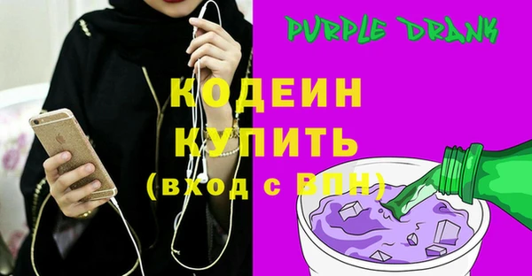 индика Богородицк