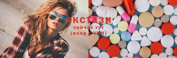 индика Богородицк