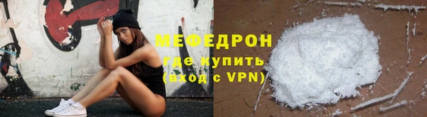 индика Богородицк