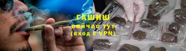 индика Богородицк