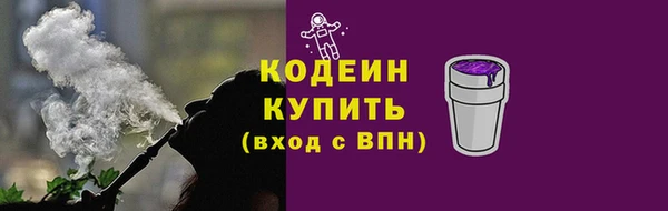 индика Богородицк