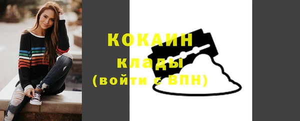 индика Богородицк