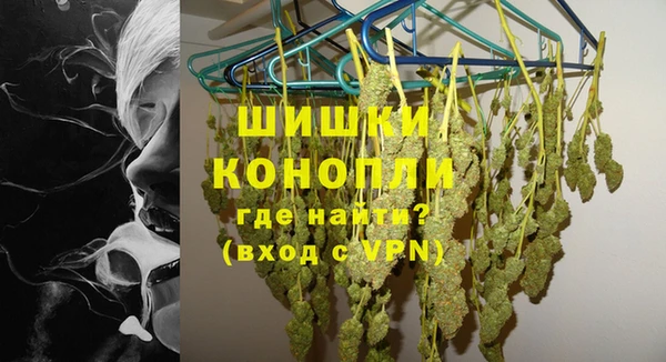 индика Богородицк