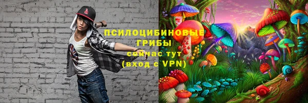 индика Богородицк
