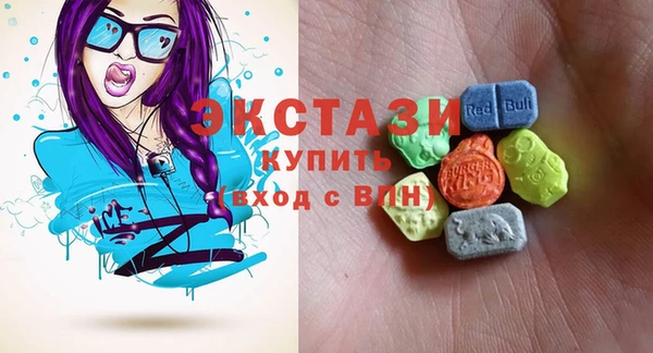 индика Богородицк