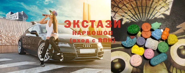 индика Богородицк