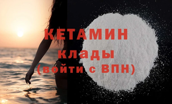 индика Богородицк