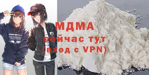 индика Богородицк