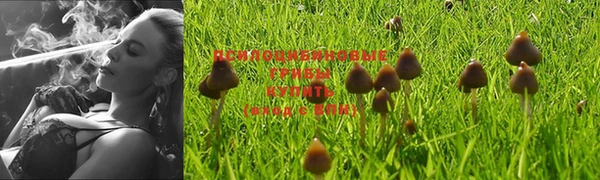 индика Богородицк