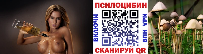 закладка Нижнекамск Галлюциногенные грибы Magic Shrooms